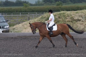 ISIS Dressage Challenge 2008